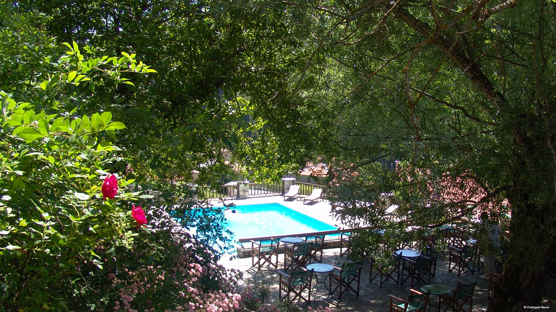 Η πισίνα και το pool bar